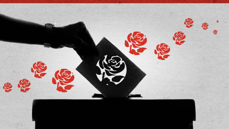 Labour deputy leader election: Powell leads by over 15 points in exclusive member poll