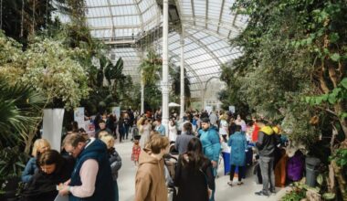 A free Neurodiversity Event is coming to Sefton Park Palm House this month