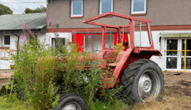 Edinburgh charity Teens+ opening new hub at Gorgie Farm