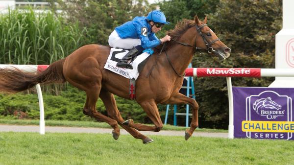 Buy or Sell on Road to Breeders’ Cup: Woodbine Mile Winner Notable Speech