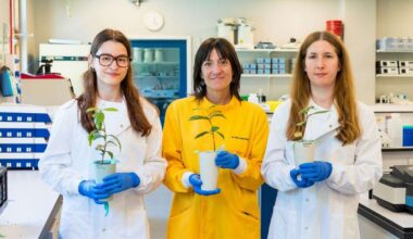 University of Kent scientists prove growing tea in space is possible