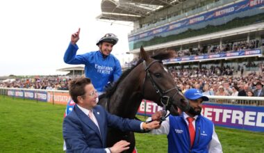 Losses double at Godolphin Irish unit – The Irish Times