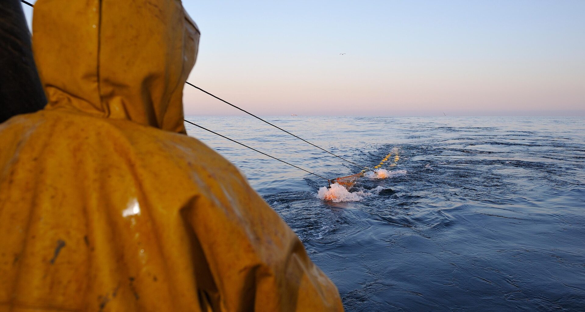 UK government rejects calls for bottom-trawling blanket-ban