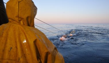 UK government rejects calls for bottom-trawling blanket-ban