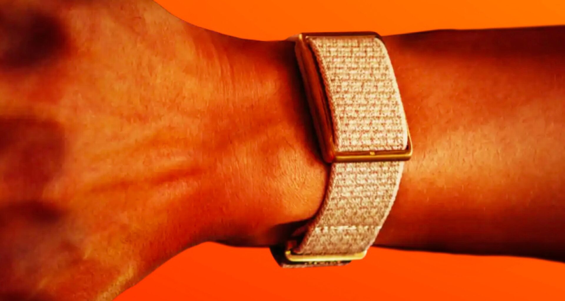 Polar Loop tracks health and fitness without display or subscription