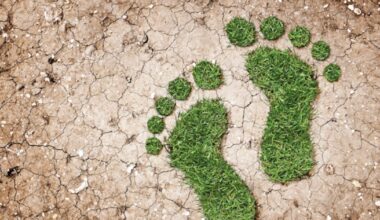 InSoil strengthens position in Europe’s carbon credit market as it earns SCS Global verification