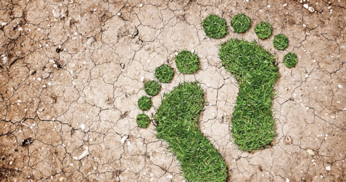 InSoil strengthens position in Europe’s carbon credit market as it earns SCS Global verification