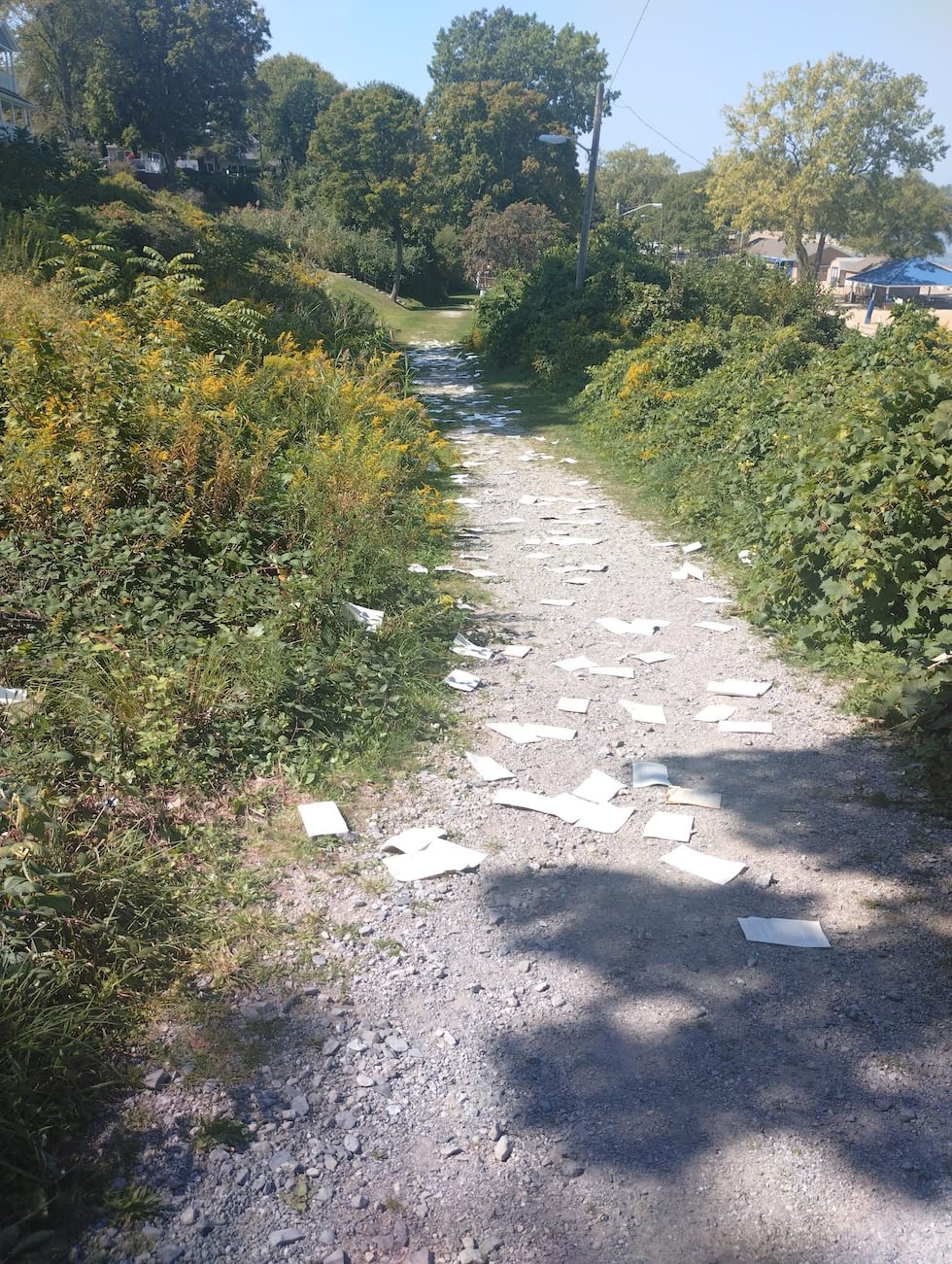 Fairport Harbor free little library books torn apart, scattered down beach path
