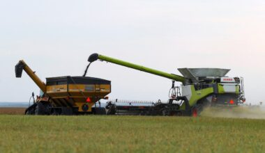 $12-billion in food exports to U.S. could find new buyers in other markets, report says