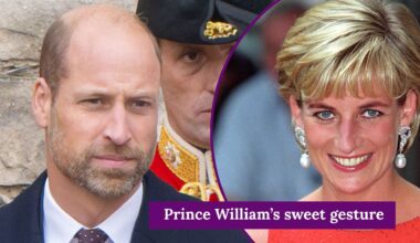 Prince William's 'classic Diana Spencer' with elderly woman at charity event