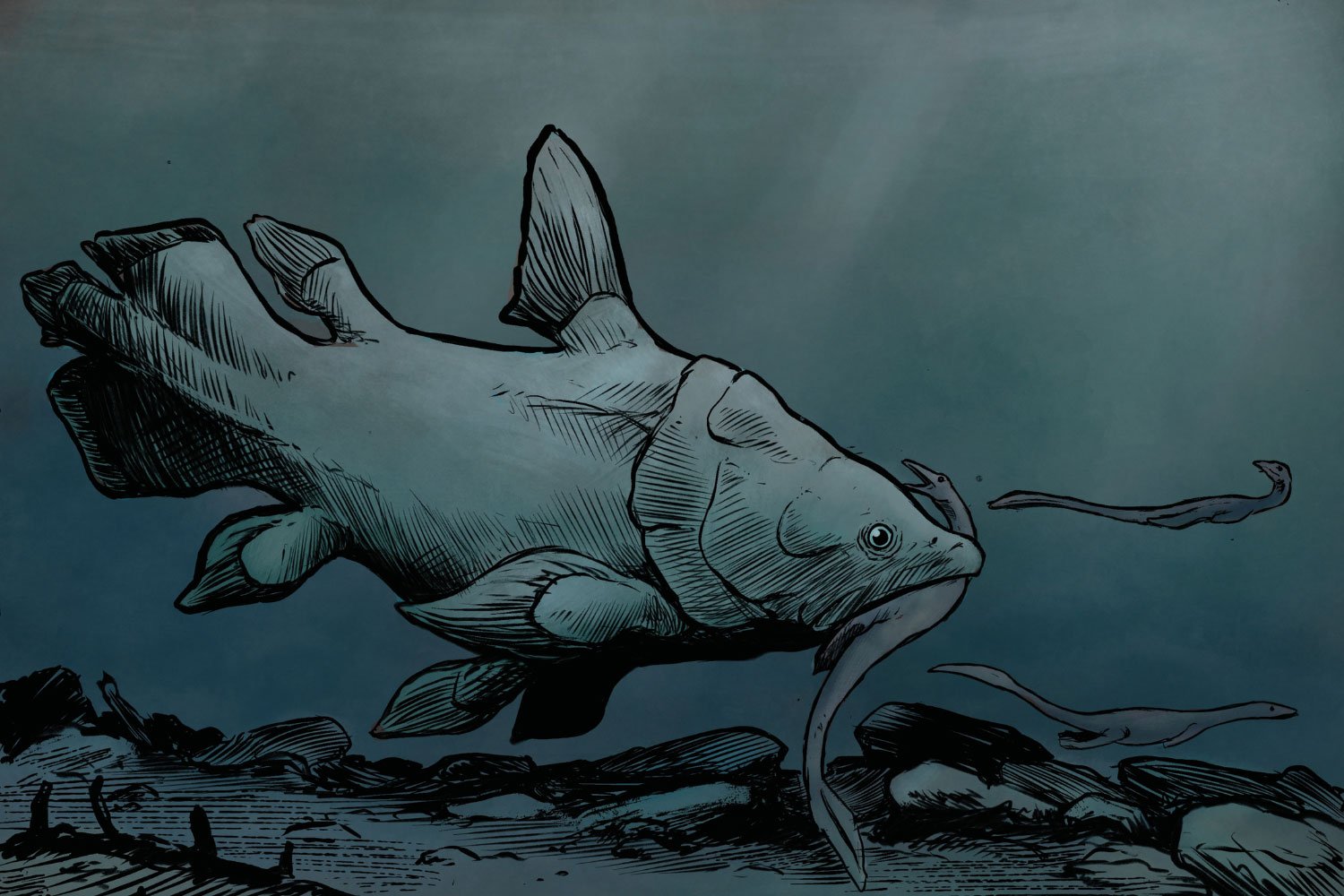 Reconstruction of a Large Mawsoniid Coelacanth