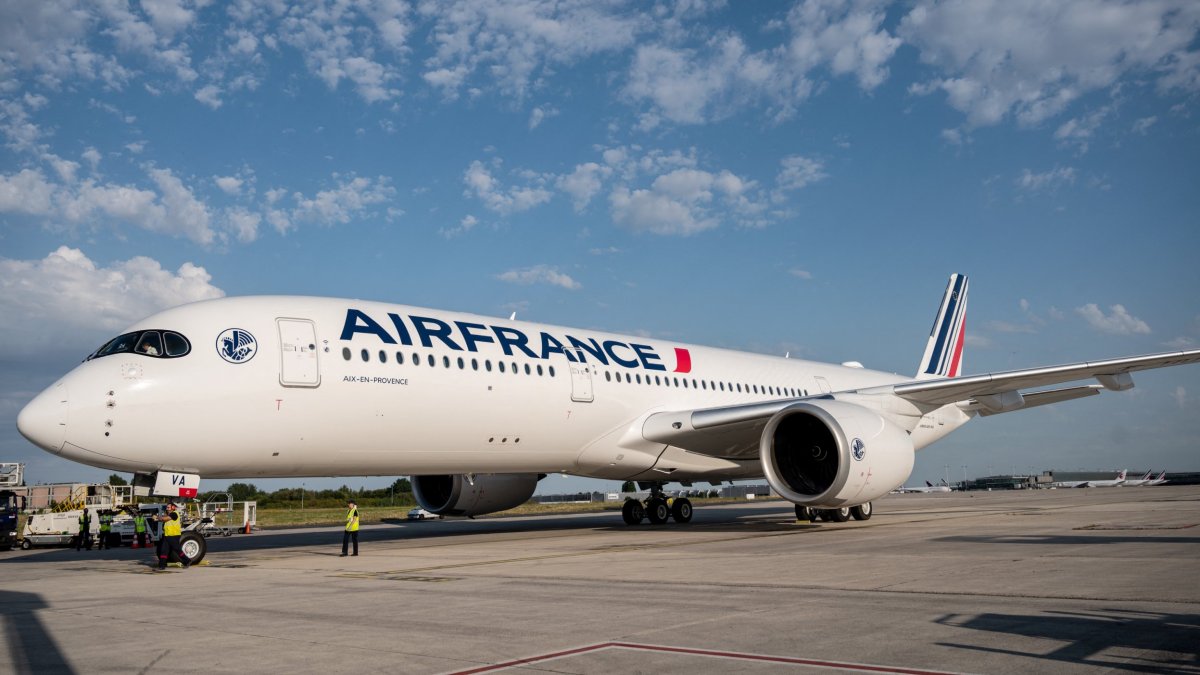First deportation flight to France 'stalled after last-minute challenge'