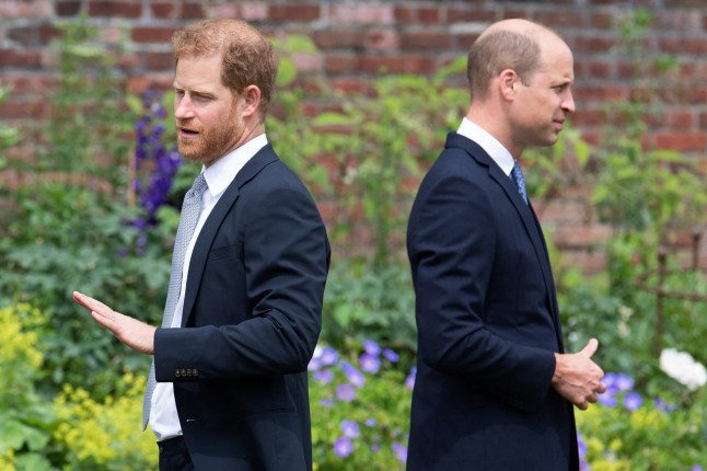 Prince Harry (left) standing back to back with Prince William (right) at The Sunken Garden in Kensington Palace, London