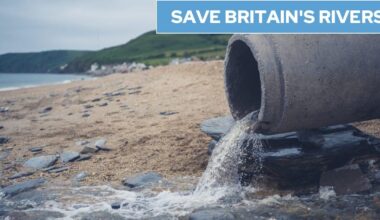 Hundreds of sewage discharges activated across northern England as heavy rain hits