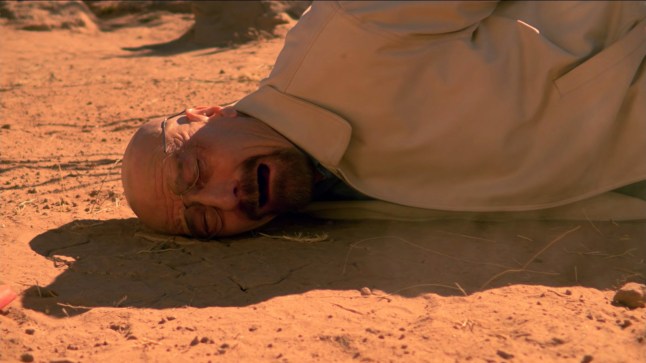 Breaking Bad: Season 5, Episode 14 Ozymandias
