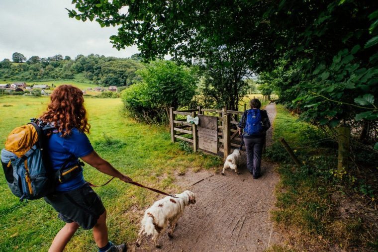 Offa's Dyke Path Offa's Dyke Path, River Teme, Knighton, Mid Wales. Image: Asset Wales https://assets.wales.com/assets?meta=offas+dyke+path&order=top-picks&asset_id=686719