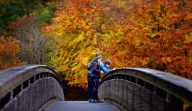 Ten of Europe's best autumn walks, with bear watching, Prosecco and a fiery forest