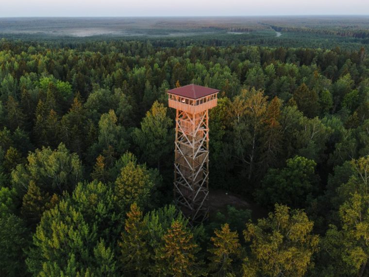 default Alutaguse National Park Estonia Image via Chloe Mackay