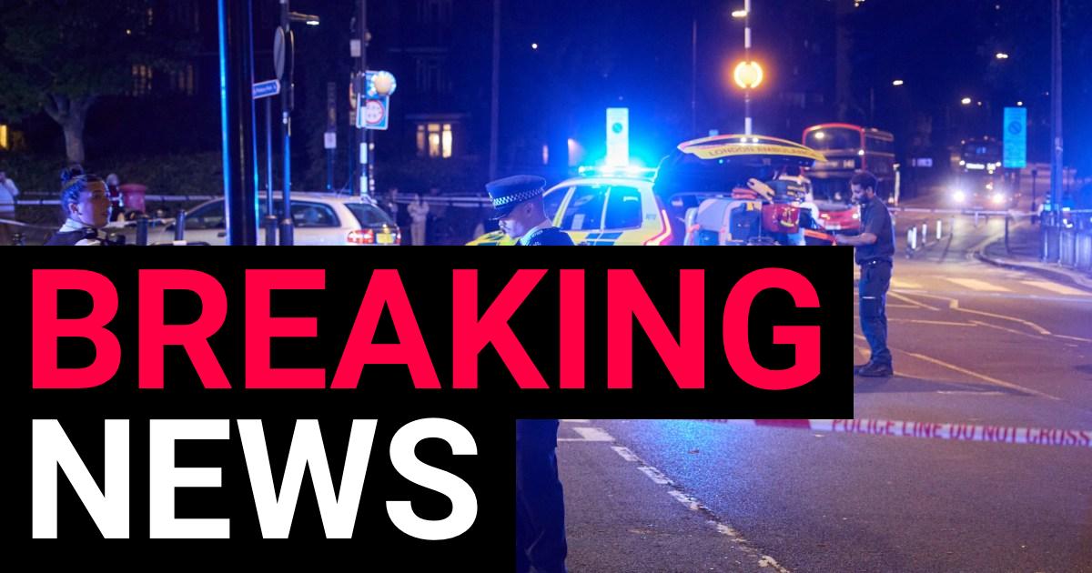 Man killed in 'deeply distressing' double shooting in east London park | News UK