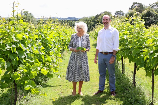 The Duchess of Cornwall, President of Wine GB, with owner of Llanerch Vineyard, Ryan Davies , during a visit marking the 10th anniversary of the Llanerch Vineyard in Pontyclun, as part of a week long tour of Wales for Wales Week. Picture date: Wednesday July 7, 2021. PA Photo. See PA story ROYAL Charles. Photo credit should read: Chris Jackson/PA Wire