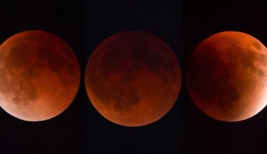 ‘Blood moon’ rises during total lunar eclipse | Gallery News