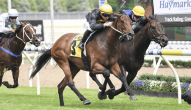 Miss Roumbini ready to rumble in the Rupert Clarke