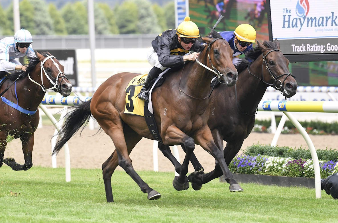 Miss Roumbini ready to rumble in the Rupert Clarke