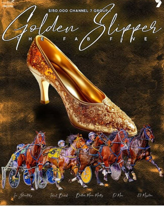 Gloucester Park Harness Racing