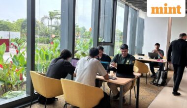 Gratis visa: How can Indian students now study in Germany without paying visa fee?