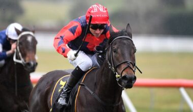 Record-breaking colt gets wake up call as superstars return