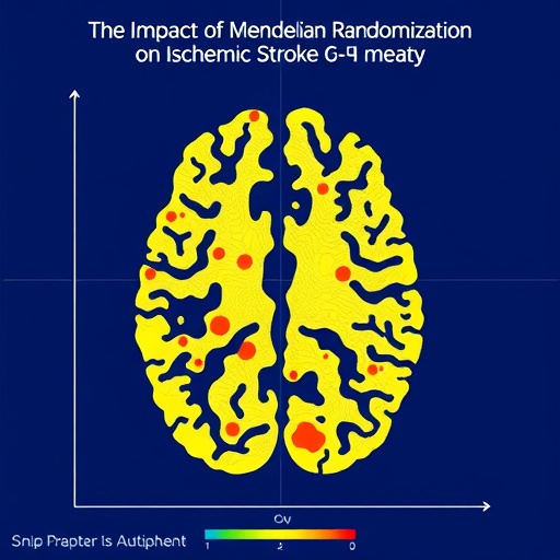 The Impact of Mendelian Randomization on Ischemic Stroke