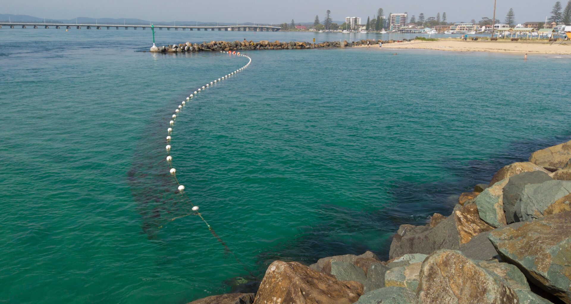 The Truth About Shark Nets And Their Effectiveness