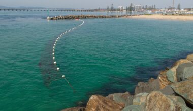 The Truth About Shark Nets And Their Effectiveness