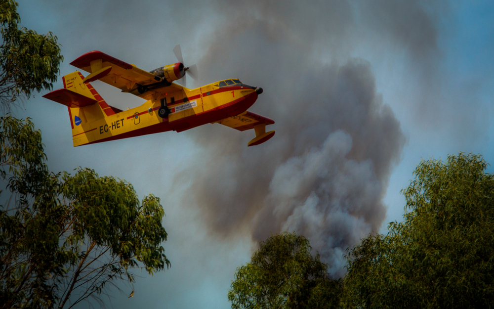 The summer Europe discovered extreme wildfires / Europe / Areas / Homepage