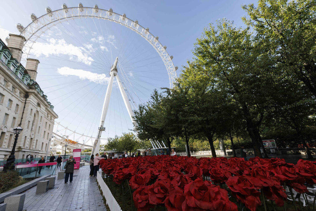 an installation of large red roses on the pathway leading to the london eye