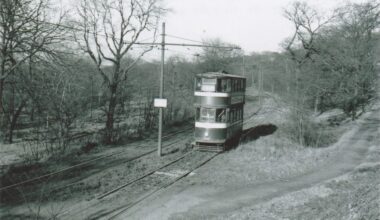 A guided walk through the history of Beeston Wood