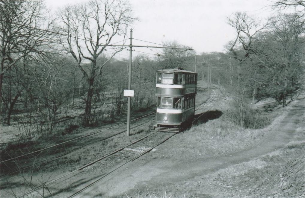 A guided walk through the history of Beeston Wood