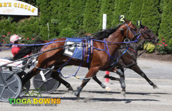 Typhoon Banner N wins feature at Tioga – U.S. Trotting News