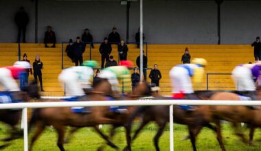 Survival is the only metric for success at some of Ireland’s struggling racetracks – The Irish Times
