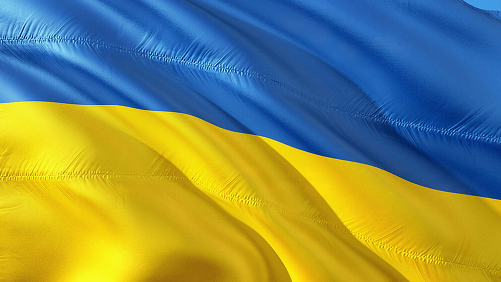 Ukraine has introduced a 10% export duty on rapeseed and soyabeans. Image source: Pixabay