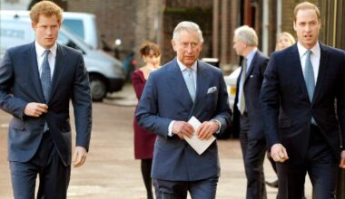 King Charles ‘Risks Alienating’ Prince William if He Reunites With Prince Harry, Royal Expert Claims