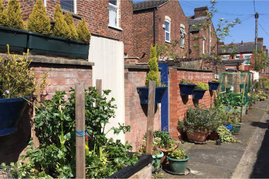  Manchester’s green spaces