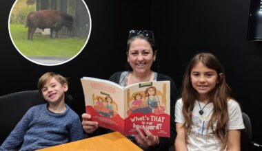Escaped bull rams Napier home with mum and kids inside, inspires children’s book