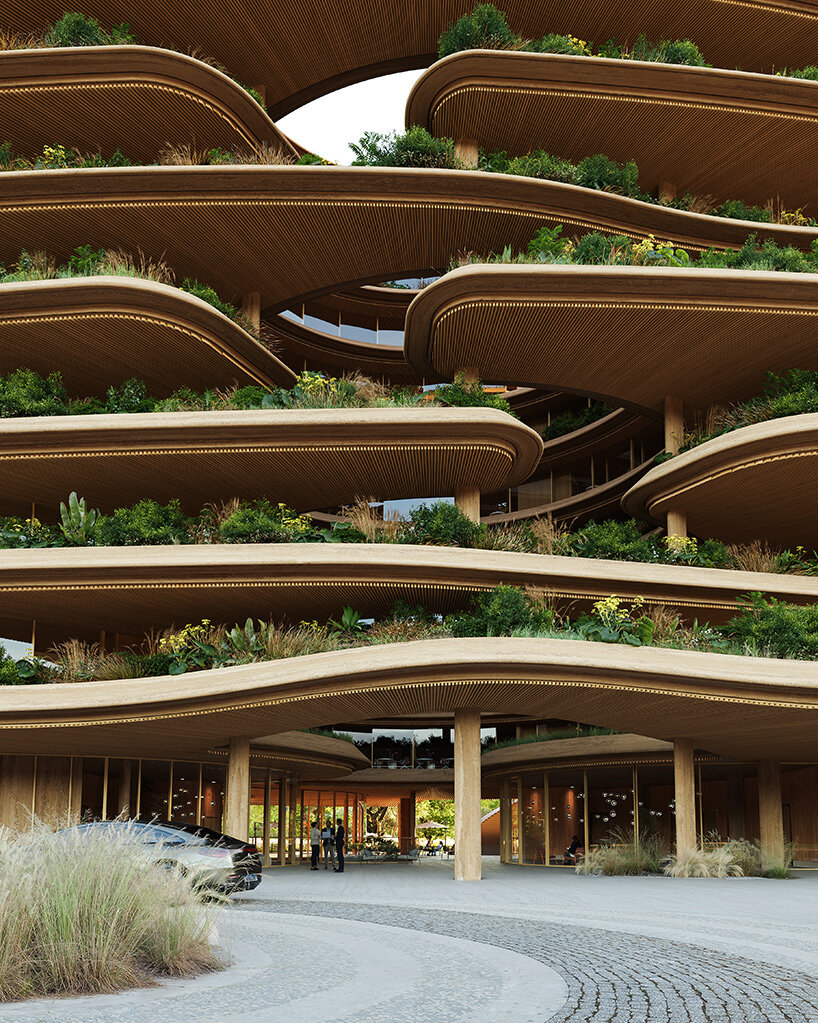 leinemann ortiz solum