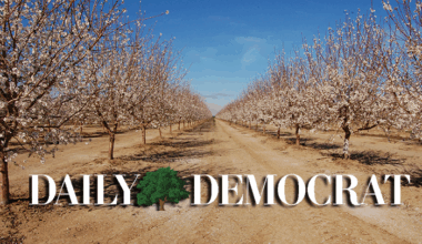 dailydemocrat default image