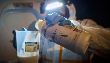 Why growing mosquito numbers are driving the spread of tropical diseases in Europe – The Irish Times