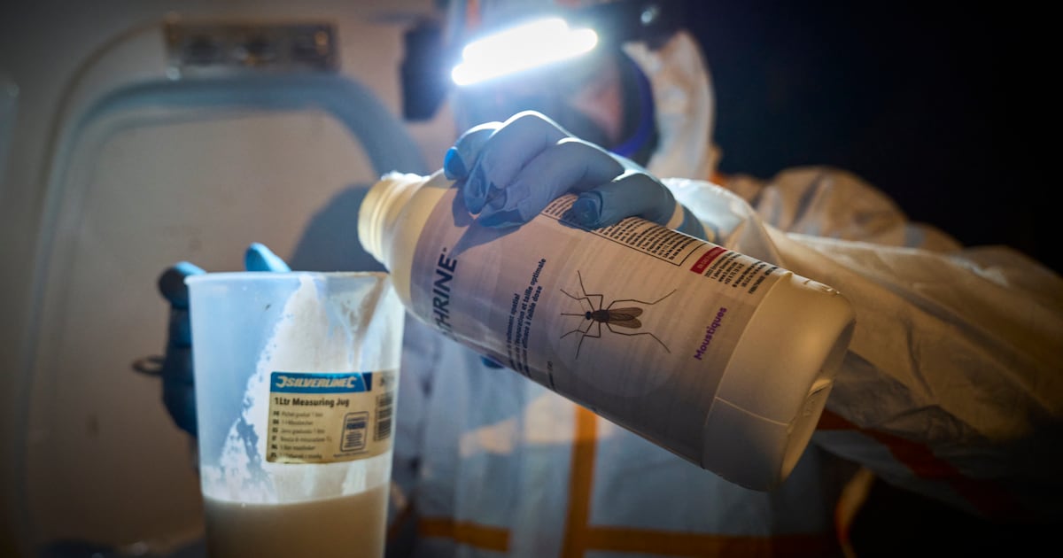Why growing mosquito numbers are driving the spread of tropical diseases in Europe – The Irish Times