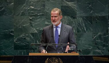 Spain’s radical right says King Felipe is ‘stained’ by Gaza stance – The Irish Times