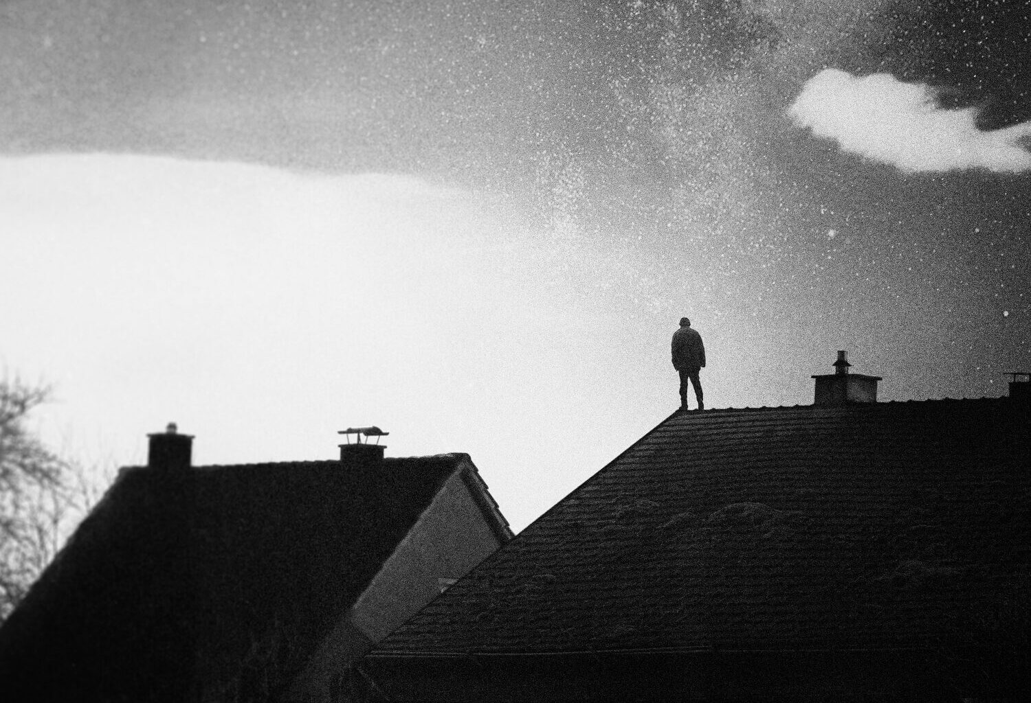 we.own.the.sky - In Your Absence Review