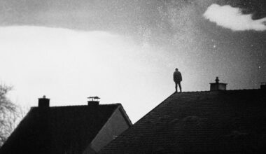 we.own.the.sky - In Your Absence Review